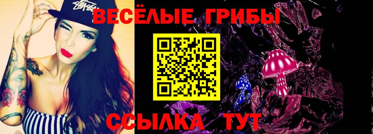 Мирный  Псилоцибиновые грибы MAGIC MUSHROOMS  Вход с VPN 