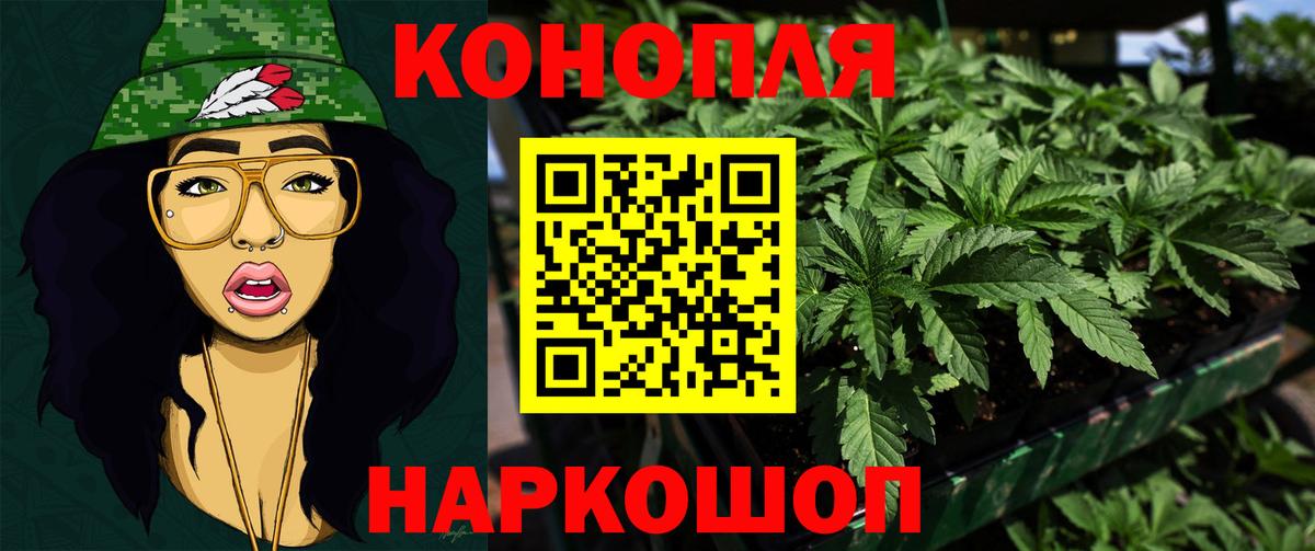 МАРИХУАНА планчик Мирный