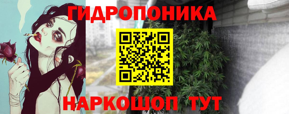 Марихуана план  Вход с VPN  Шишки марихуана OG Kush  Шишки марихуана индика  Мирный 